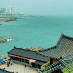 Пусан запускает новую программу по охране окружающей среды